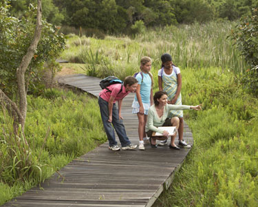 Kids Kissimmee: Nature and Animal - Fun 4 Kissimmee Kids