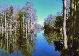 Shingle Creek Regional Park - Ruba Location