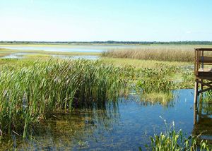 Twin Oaks Conservation Area