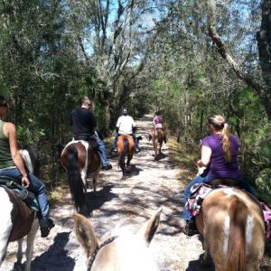 All Hitched Up Horseback Riding