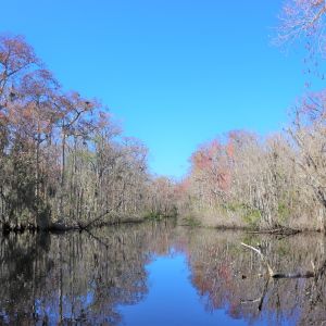 Osceola County Schools Environmental Study Center