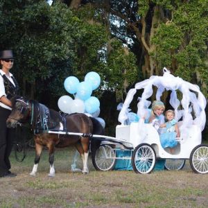 All Hitched Up Princess and Pony Parties