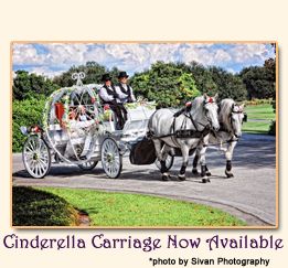 High Horse Carriage Rides, Inc.