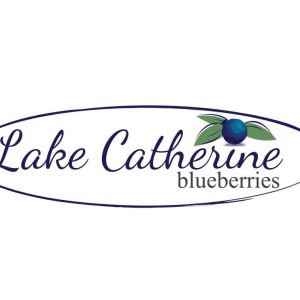 Lake Catherine Blueberries and Blackberries