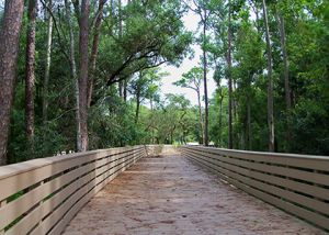 Shingle Creek Regional Park - Steffee Landing