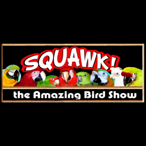 Squawk! The Show