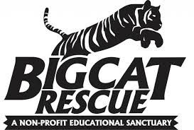 Tampa - Big Cat Rescue Sanctuary