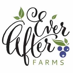 Ever After Farms U-Pick Blueberry Farm