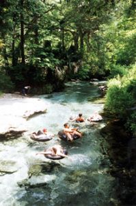 Rock Springs Run at Kelly Park in Apopka