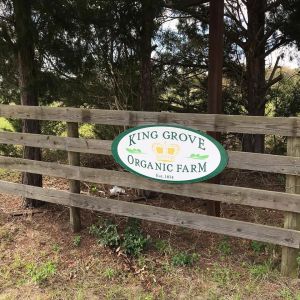 King Grove Organic Farm - USDA Certified Organic Blueberry U-Pick