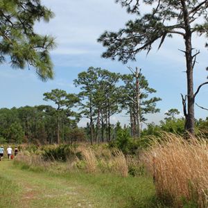 Disney Nature Conservancy's Wildlife Preserve Trail