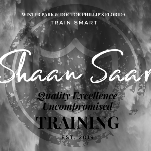 Shaan Saar Krav Maga, Self Defense and Martial Arts