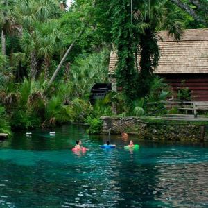 Juniper Springs